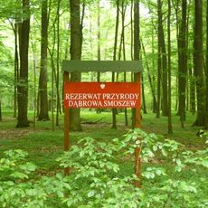 Nature reserve Dąbrowa Smoszew