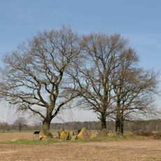 Großsteingräber bei Kahlstorf