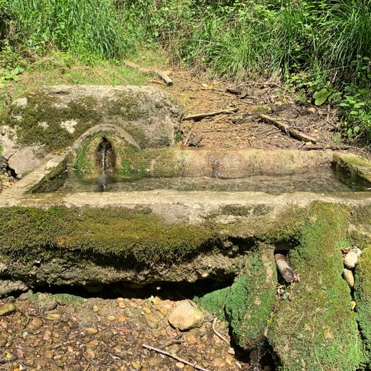 Fontaine de la source du Merloux Saint-Maurice-de-Beynost)