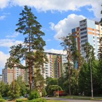 Staroye Kryukovo District