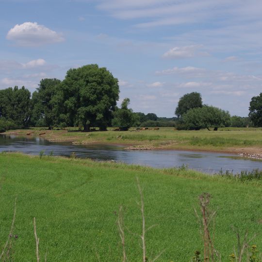 Allerniederung bei Klein Häuslingen