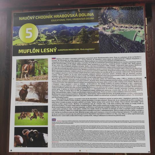 Educational trail Hrabovská dolina