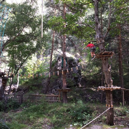 Grimp In Forest