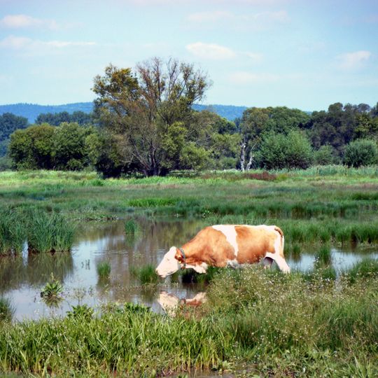 Rhäden bei Obersuhl und Bosserode