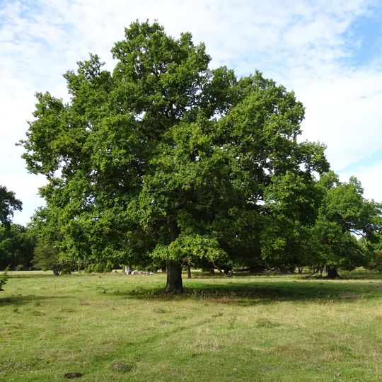 Väsby hage Nature Reserve