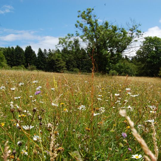 Naturschutzgebiet Auf der langen Galle bei Rudingshain
