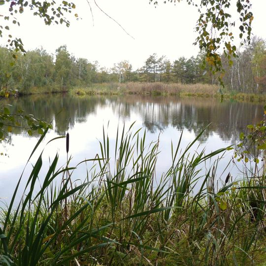 Nature reserve Bagno Chlebowo