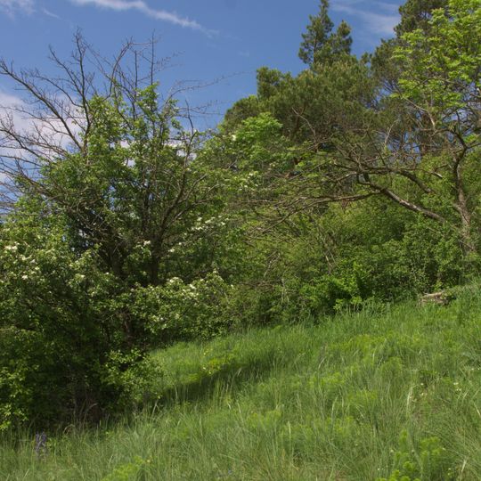 Hlaváčková stráň