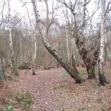 West End Common