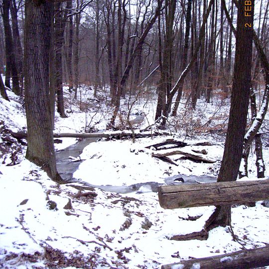 Darmbachaue von Darmstadt