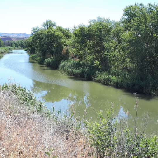Henares river