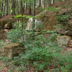Ehemaliger Steinbruch bei Offenhausen