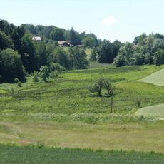 Extensivwiesen östlich Deggendorf