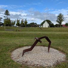 Tumbling Albatross