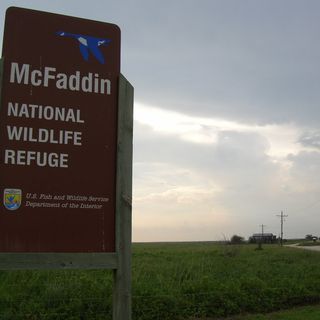 McFaddin and Texas Point National Wildlife Refuges