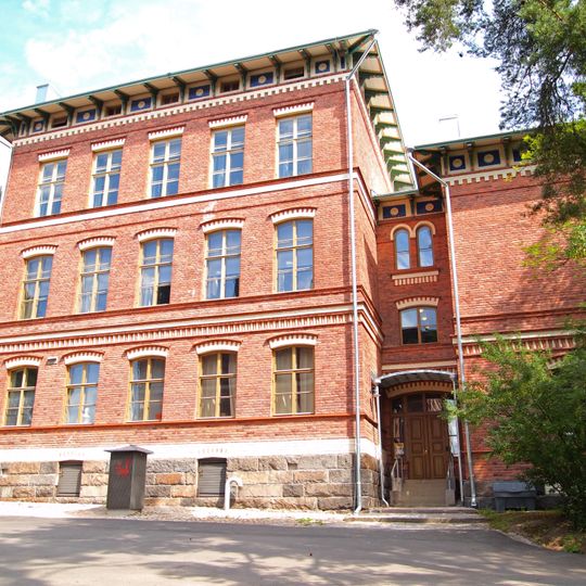 Das Jyväskyläer Universitätsmuseum
