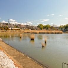 Horagai Park