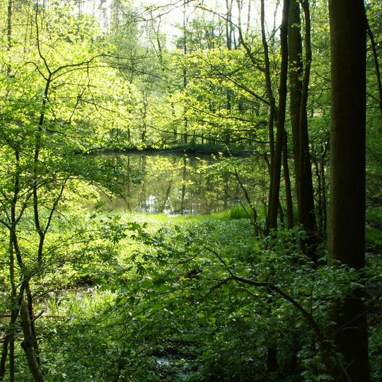 Soběšické rybníčky