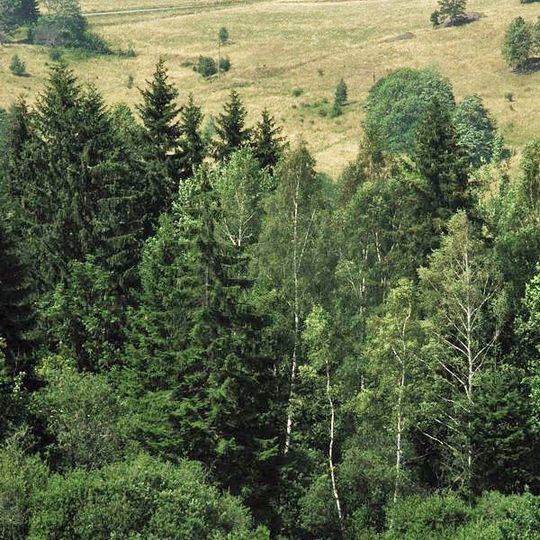 Przełęcz Puchaczówka
