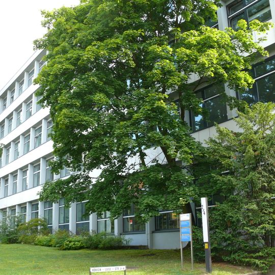 Institut für Pharmazie der Freien Universität Berlin