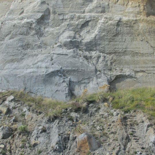 Wanganui Basin