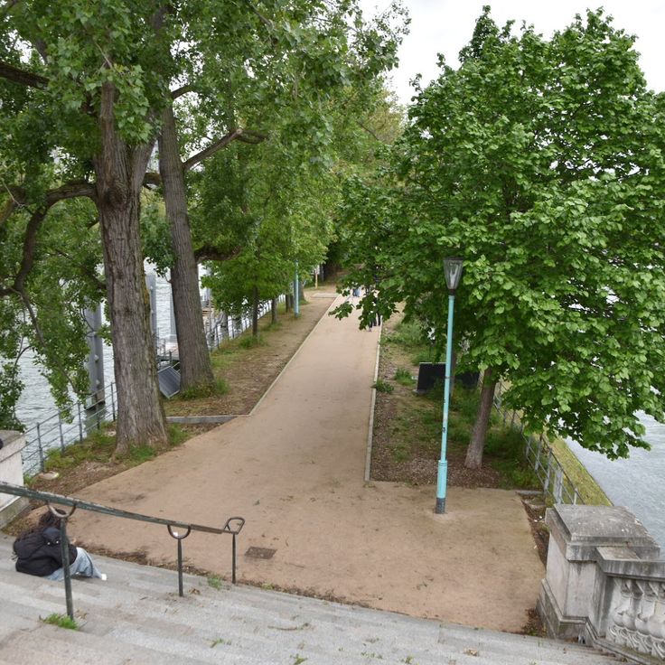 Allée des Cygnes