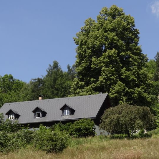 Lípa v Kryštofově Údolí