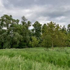 Tongrubengelände von Bensheim und Heppenheim