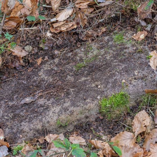 Grenzstein Untere Gemeinde in Fürth