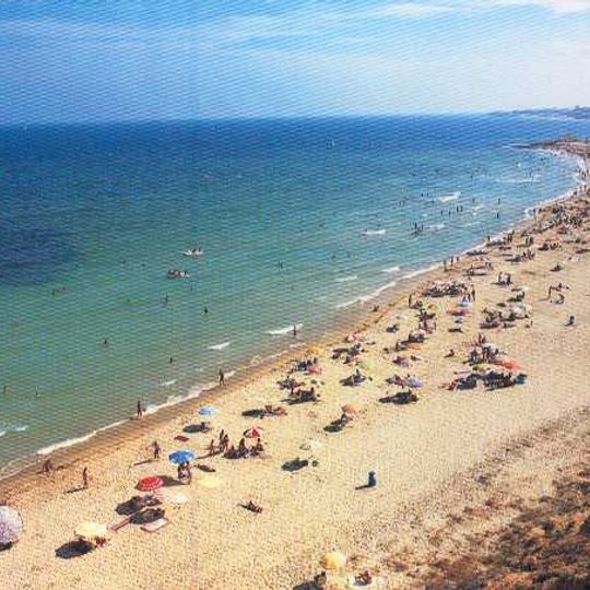 Baix Segura / Vega Baja