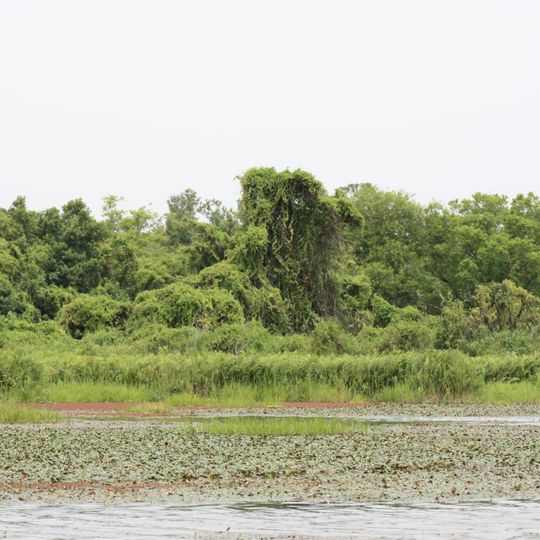 Mare aux Hippopotames