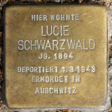 Lucie Schwarzwald