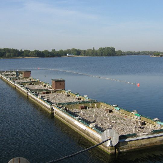 Flussseeschwalbenkolonie Banter See