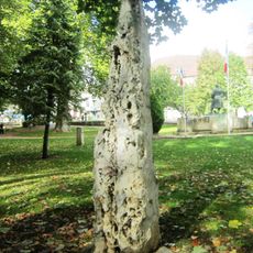 Menhir de Châtillon-sur-Seine