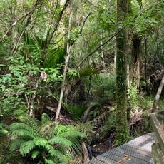 Point Elizabeth Walkway