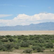 Willcox Playa