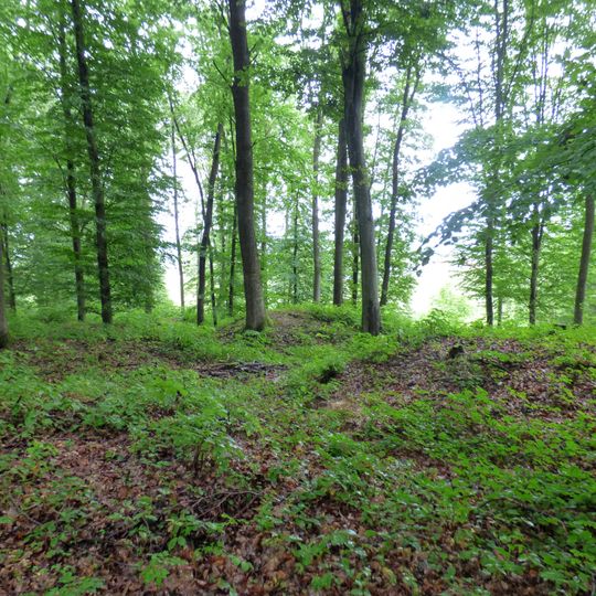 Östliches Hügelgräberfeld am Steinberg, Feldbach