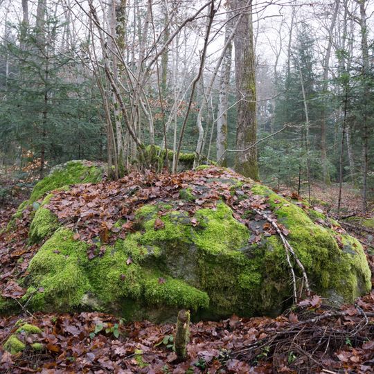 Bois de Chassagne, pierres à cupule période inconnue