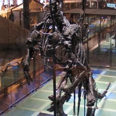 Gisement du Bernissart