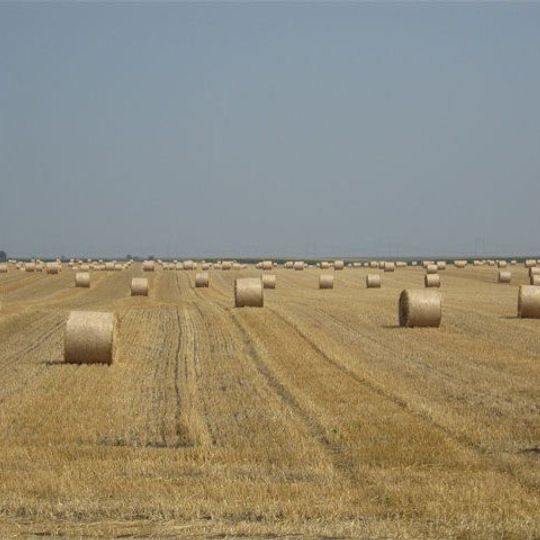 Semberija