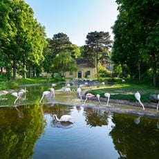 Schönbrunn Zoo