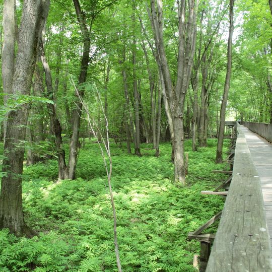 Parc écologique de l'Anse du Port