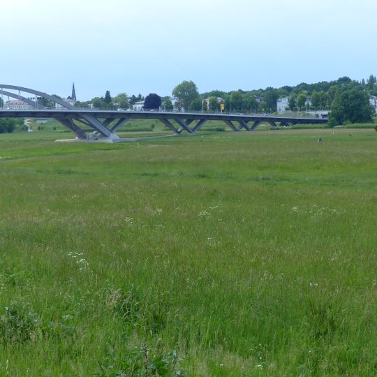 Glatthaferwiese am Elbufer Johannstadt