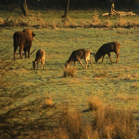 Tiergehege Hasseldieksdamm