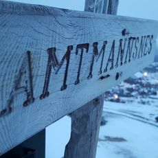 Amtmannsnes
