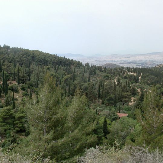 Kaisariani Aesthetic Forest