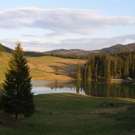 Platoul Carstic Padiș