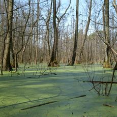 Großer und Kleiner Rohrpfuhl