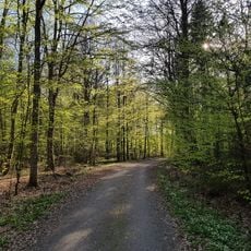 Kronoberg