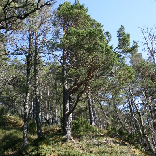 Prestaksla Nature Reserve